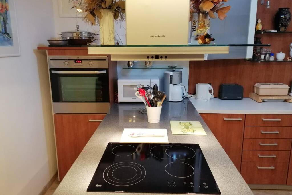 Lage Im Zentrum Und Am Hofgarten 150qm Mit Klima, 2xbalkon, Aufzug, Familienfreundlich Bayreuth